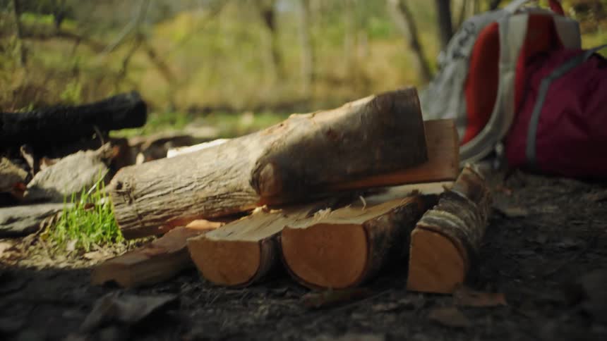 A young woman tosses a chopped log onto a pile of firewood in a woodland during the day