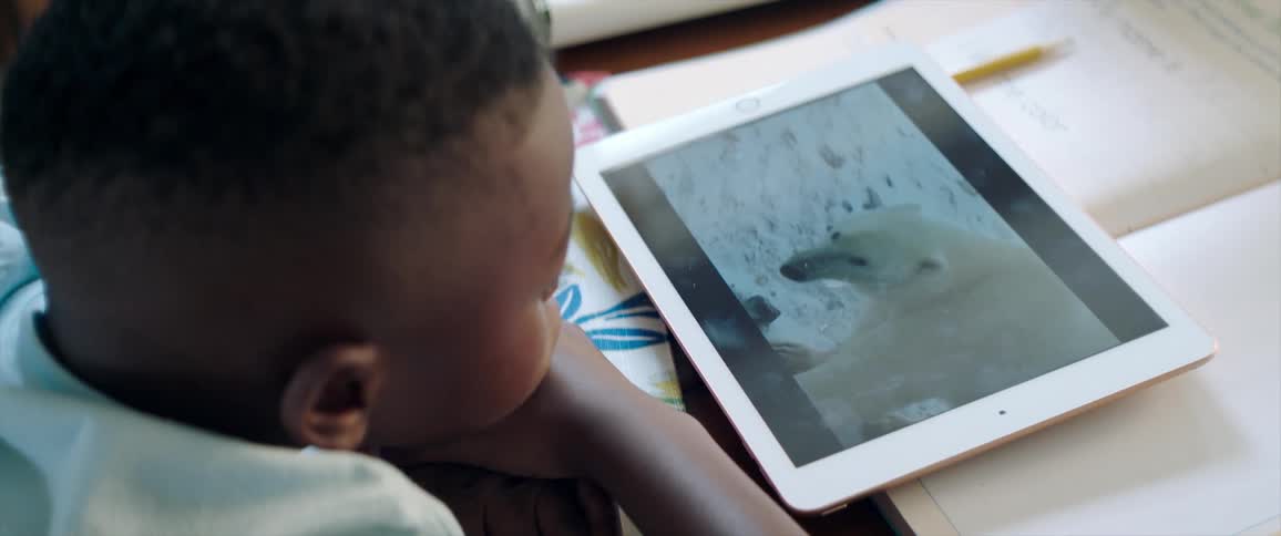 Child sitting at table watches documentary about polar bears on tablet