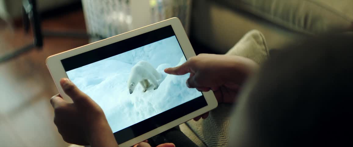 A child looking at a bear on a tablet screen