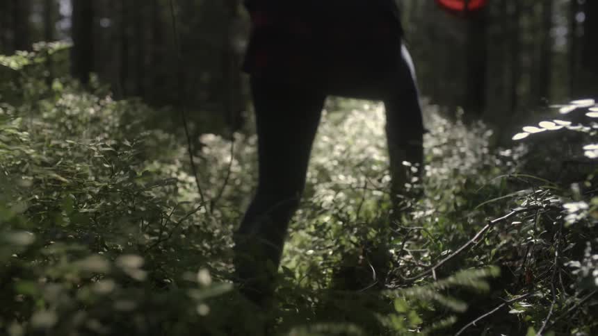 A person hikes through grass in the woods
