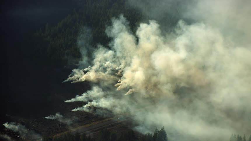 Aerial shot of many slash piles being burned at a large logging operation as massive plumes of billowing smoke soar into the sky above releasing carbon into the atmosphere