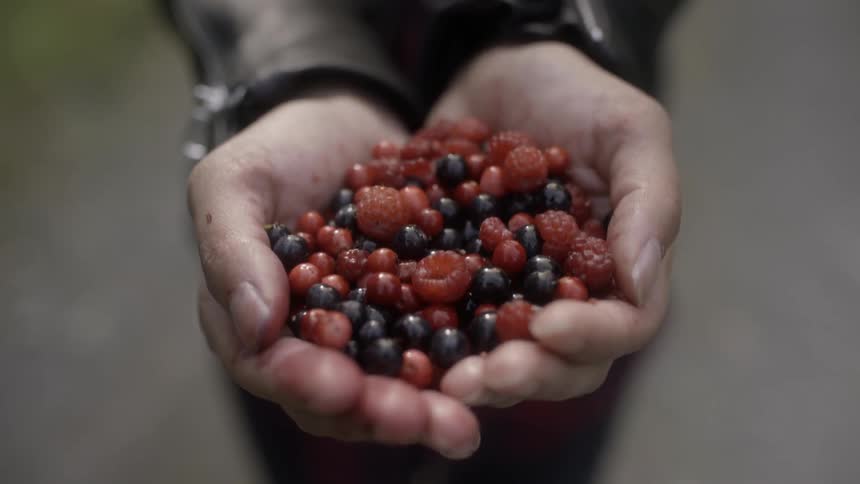 A pair of cupped hands holding a mix of berries