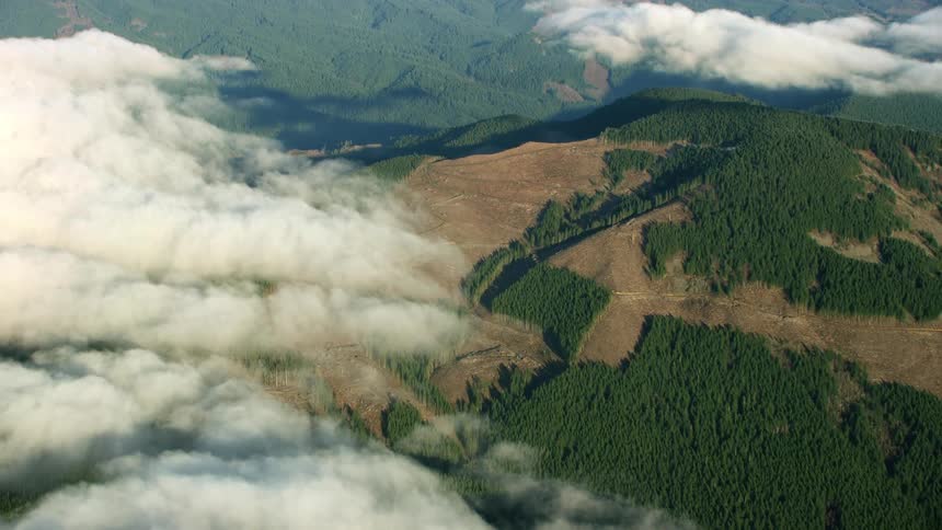 Aerial shot of white clouds and massive clear cut logging operations below in this dynamic high altitude aerial shot
