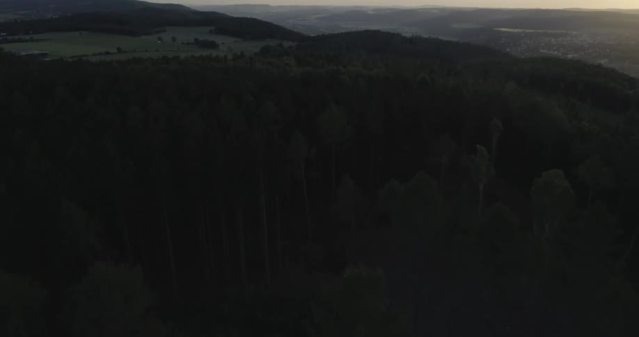 Highland forest with some clouds in the sky