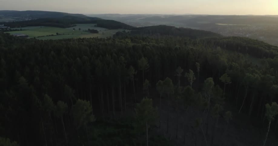A forest sits on a cliff that overlooks a neighborhood