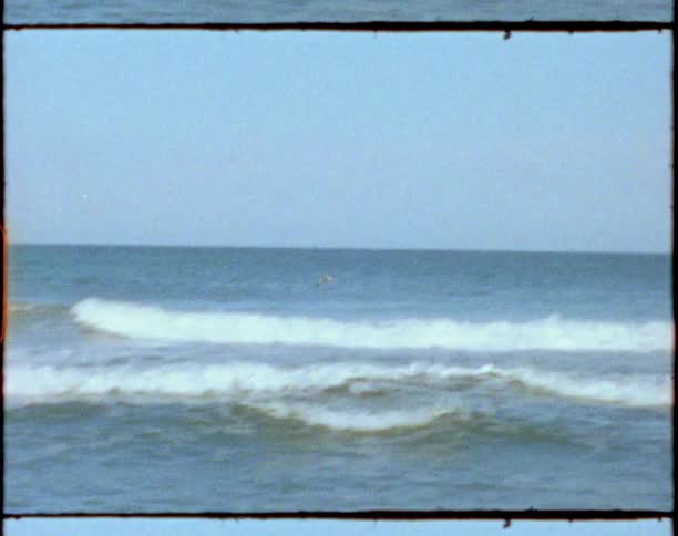 Seagull is flying across the ocean waves