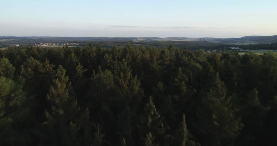 A forest with trees with a mountain range the sky and clouds in the background
