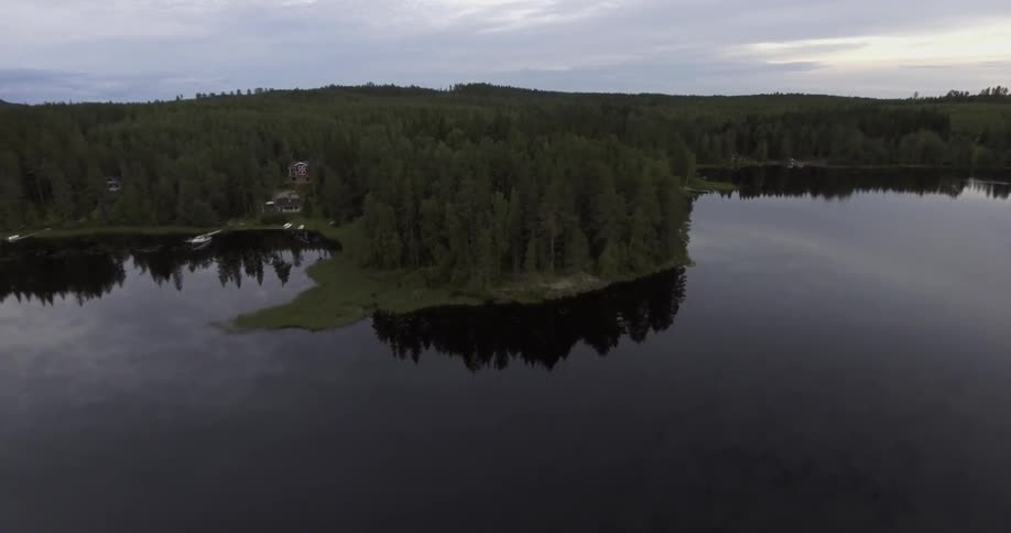 Aerial view moving away from a forest by the shore