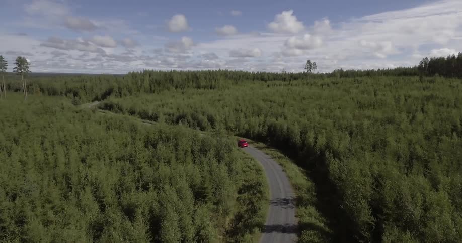 A red car driving down a narrow road past a forest during the day