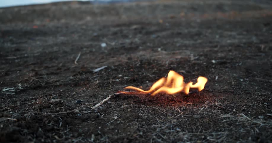 A fire is burning in a grassland area