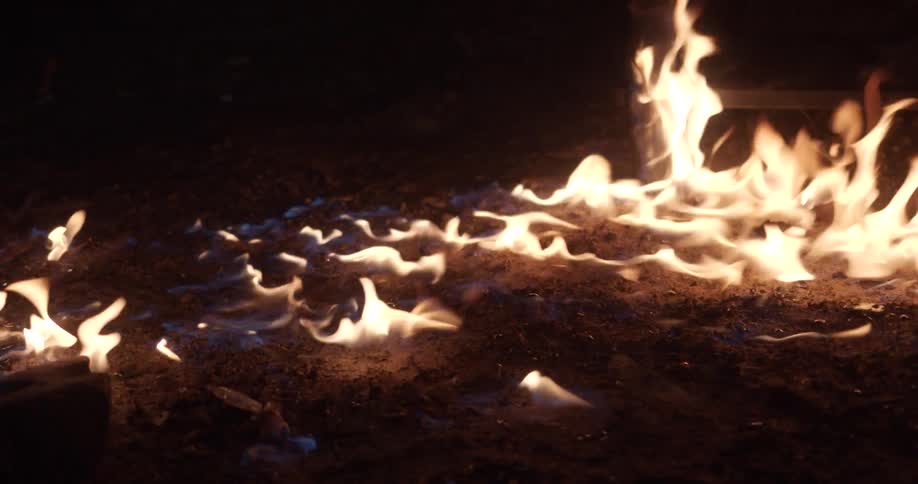 A camp fire that is burning out on some soil