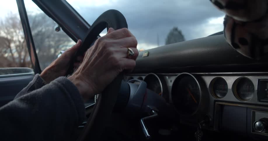 A person driving a vehicle with trees the sky and clouds in the background