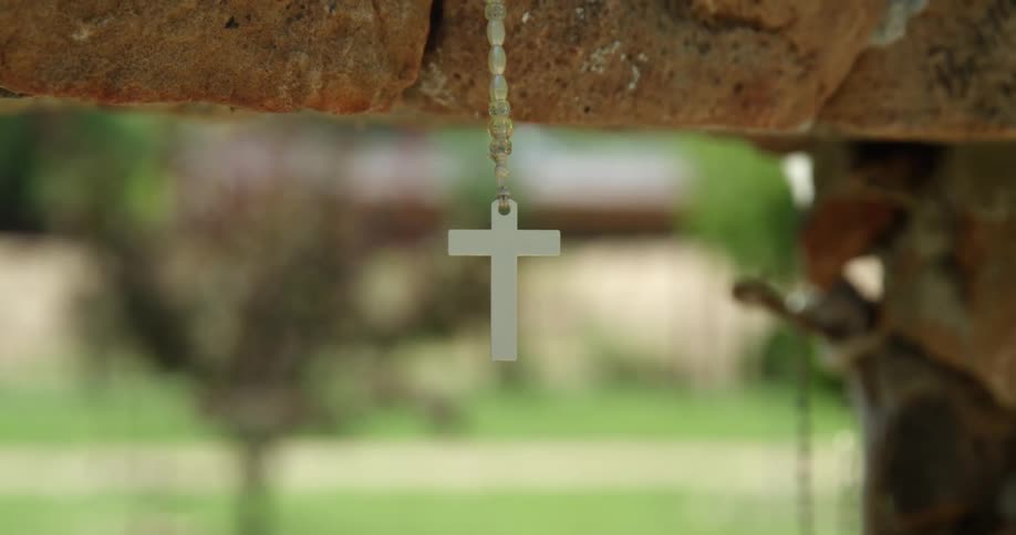 A cross necklace hanging from a tree branch