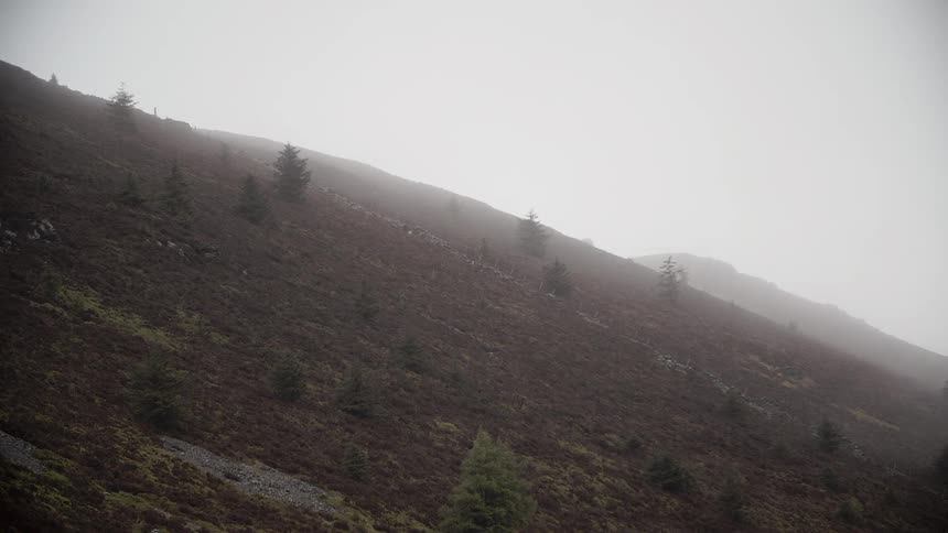 A hillside is covered with heavy clouds