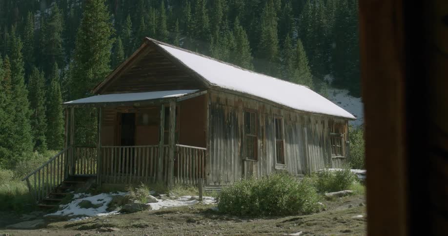 A rundown shack surrounded by pine trees on a snowy winter day