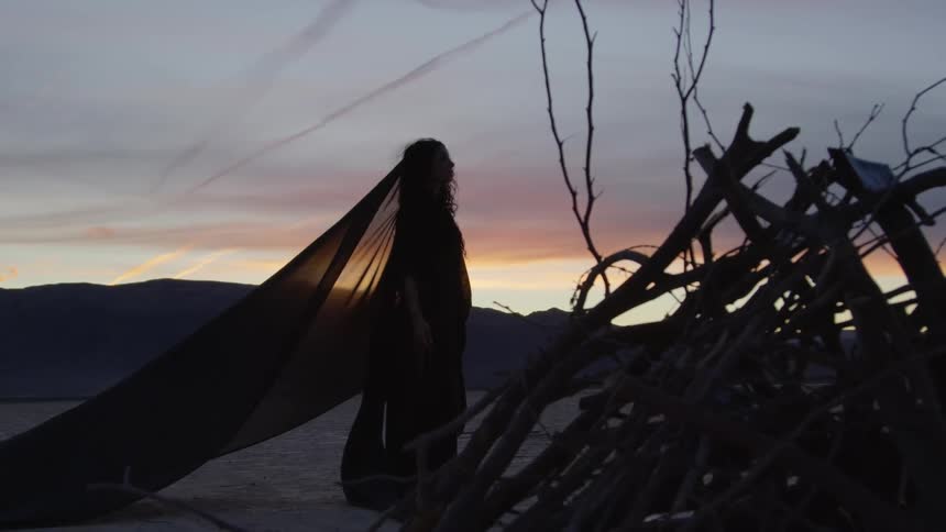 A woman in a long black dress and scarf stands next to a pile of branches in the desert