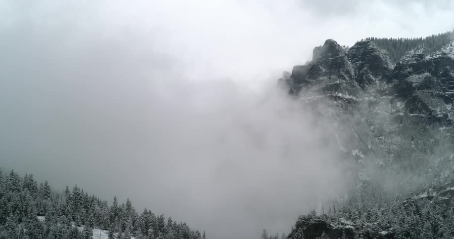 Mist moves across a tree covered hill