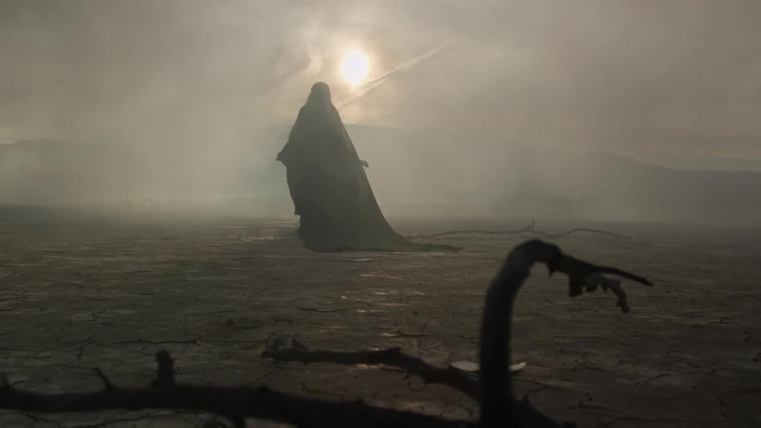 A person in long dark robes walks in the fog