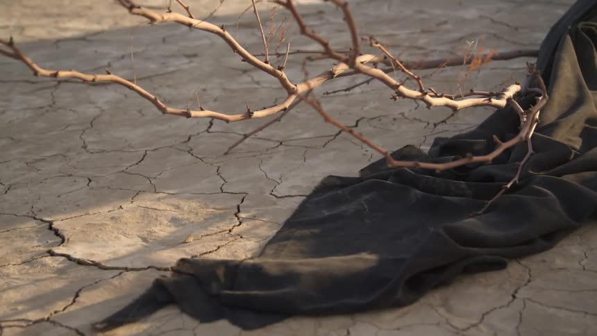 A branch is being dragged on a black robe