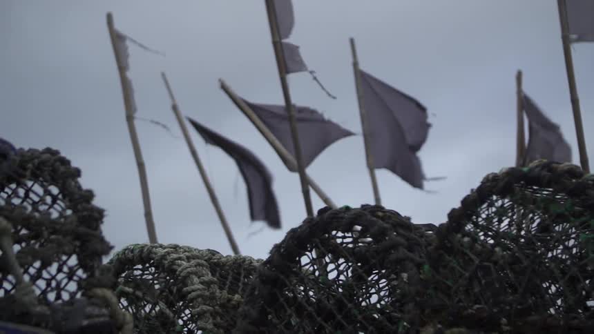 Flags are flying in the wind of a cloudy sky