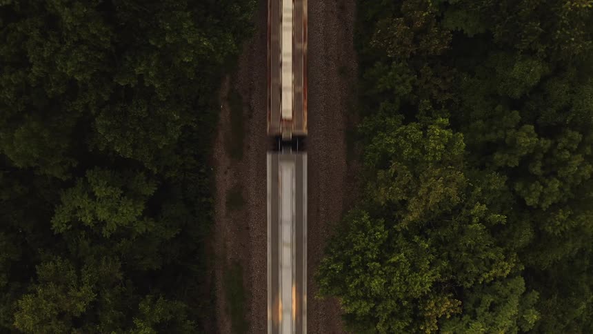 A long train travels on a track between the trees