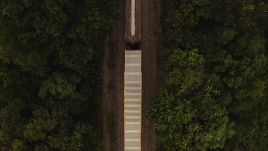 A train travels on tracks between the trees