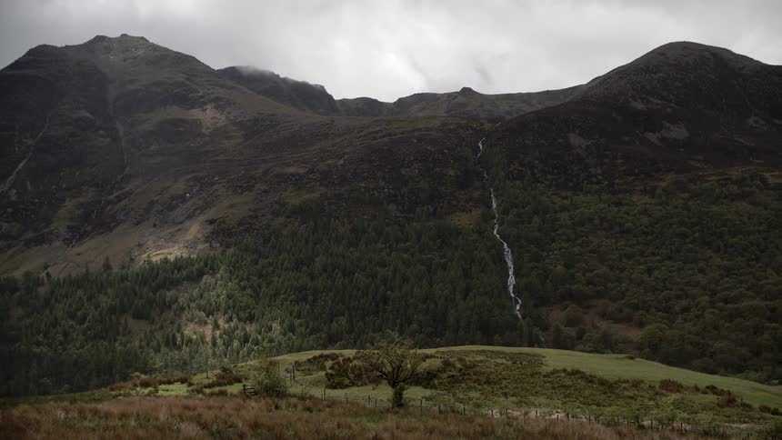 A mountain is covered with trees and grass