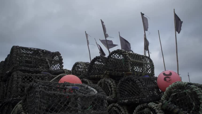 Nondescript flags wave behind a pile of lobster cages and buoys