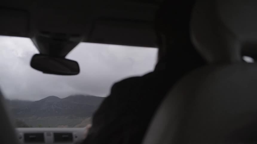 View from the backseat of a moving car