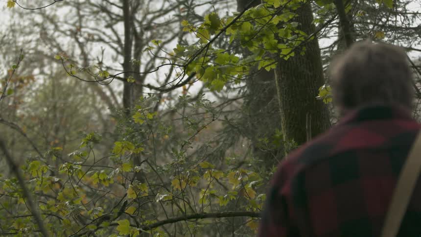 A man watches a bird fly through a forest