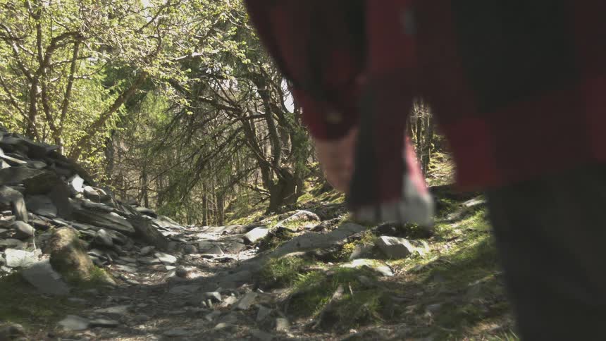 A man is hiking on a trail in the woods