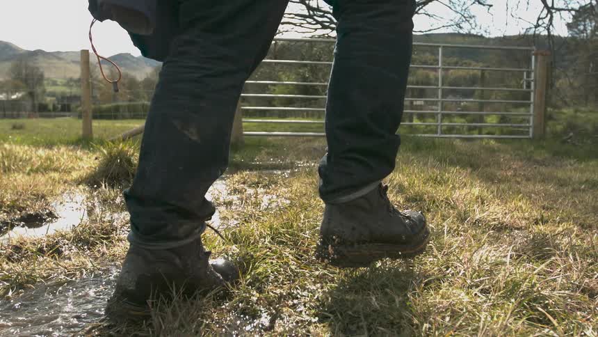 The legs of a person wearing hiking boots walking across a wet field with a stream