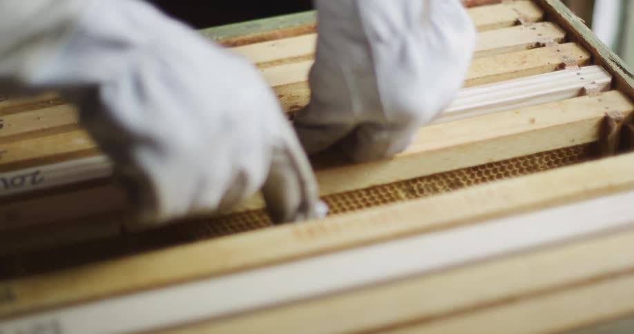 A person wearing white gloves setting a piece of white plastic inside of a manmade beekeepers beehive