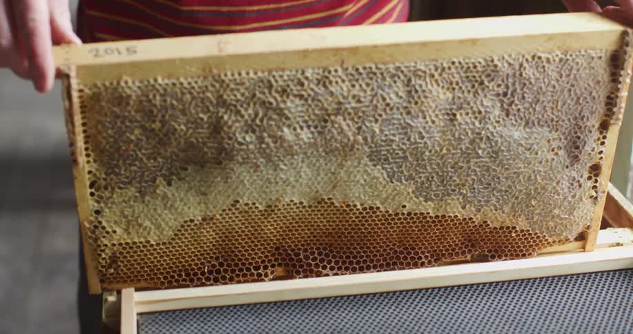 A man holds up a honeycomb panel