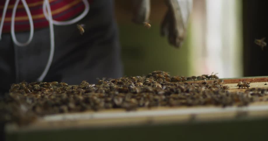 A beekeper tending a hive covered in a swarm of bees