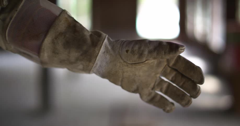 Close up of a beekeepers glove