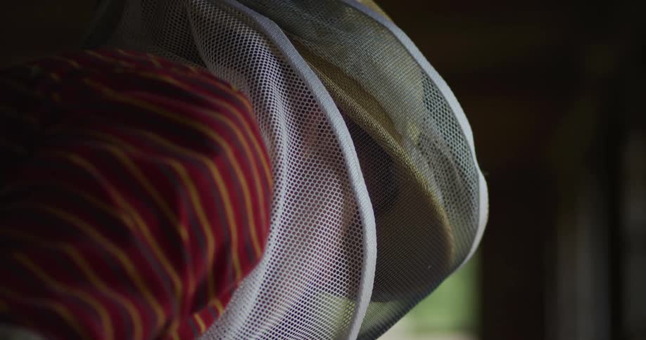 A person in a beekeeper suit with honeybees flying around