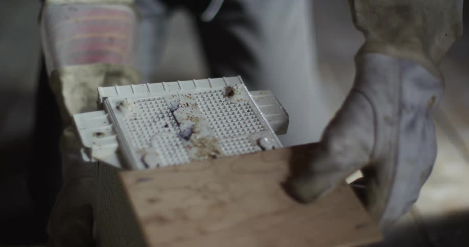 A person removing a cover from a bee hive