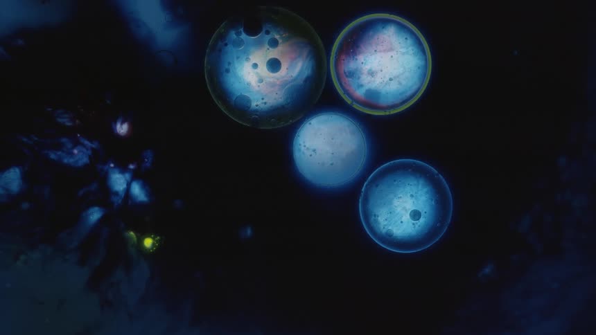 Blue green and black colors that look like oil and water
