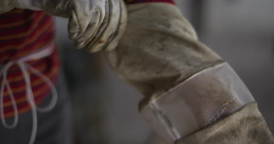 A beekeeper pulls on a long glove