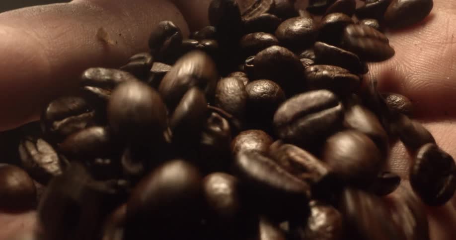 Coffee beans moving around in a persons hand
