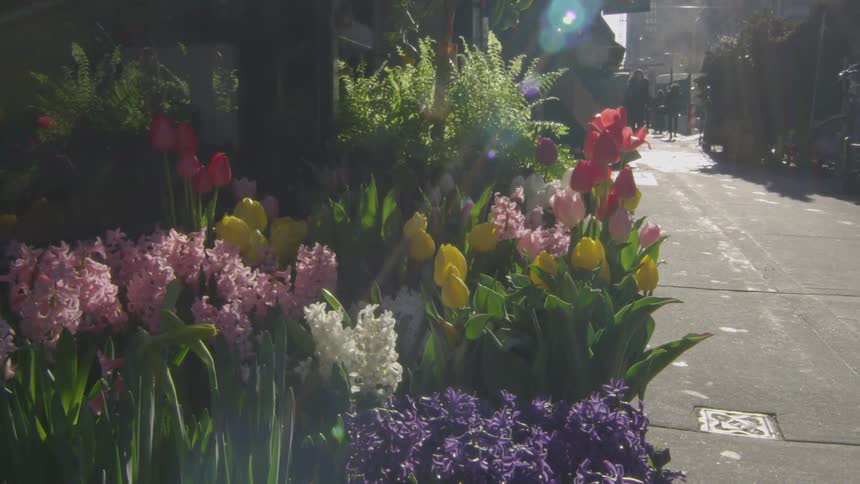 People walking on a city street with flowers in the foreground and buildings in the background