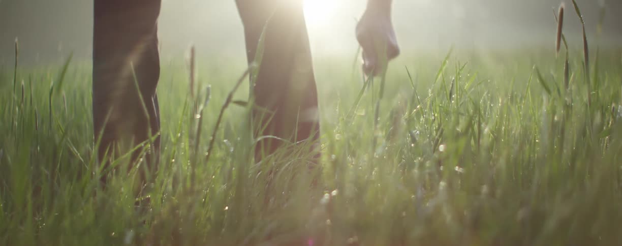 People are walking in a grassland area at dusk