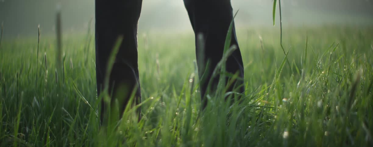 A person pulls wet grass from the ground on a foggy day