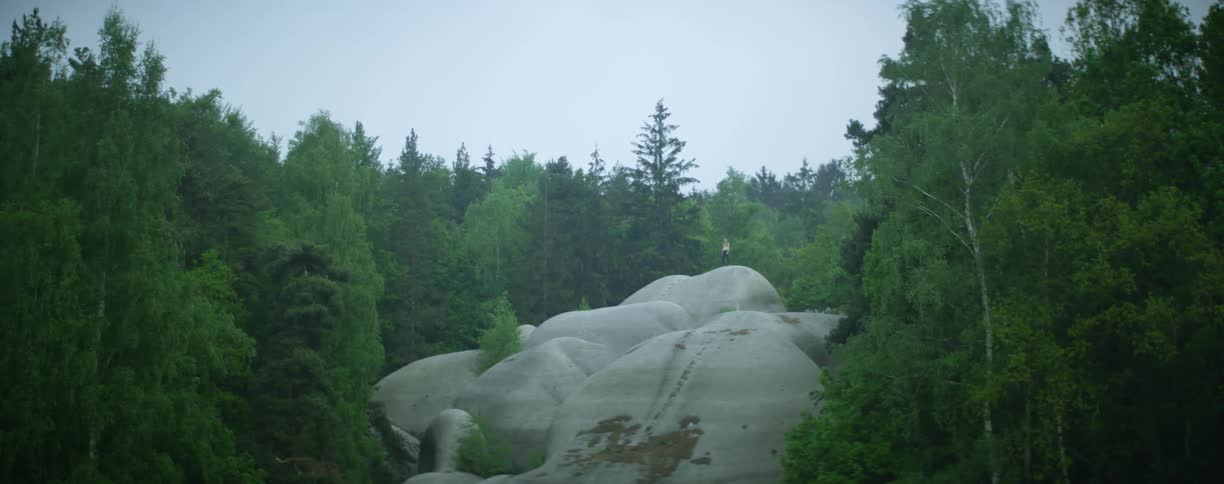 Smooth big boulders in the middle of a pine tree forest at daytime