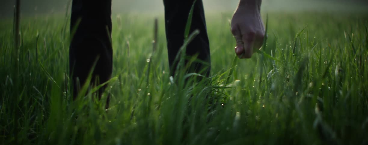 A man picking grass in a field as the sun sets behind him