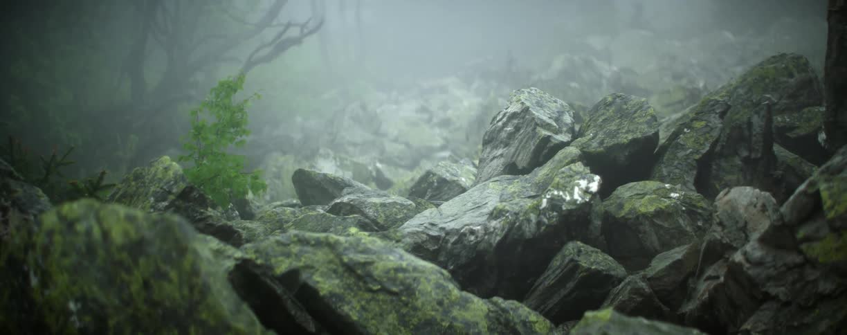 A pile of large mossy stones in a woodland on a misty day