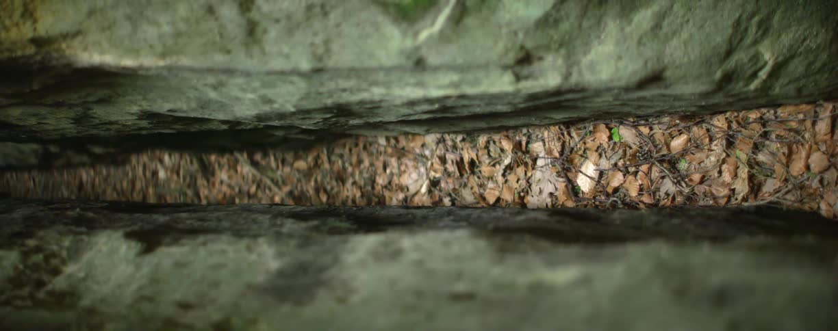 Two rocks with dried leaves and twigs in between
