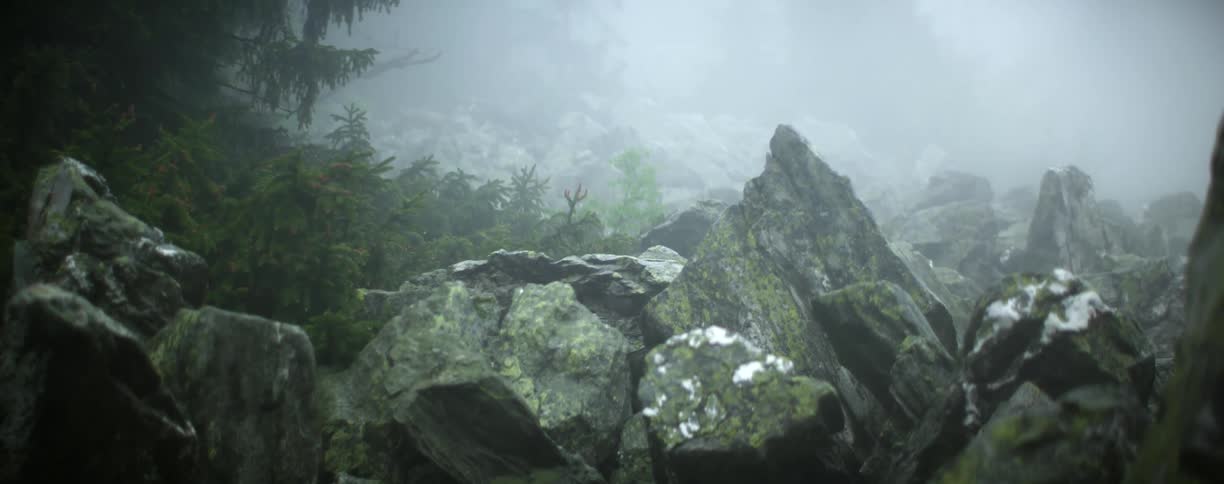 Pile of jagged rocks covered in green moss under the mist near the forest