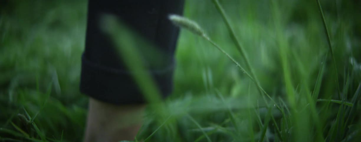 A person is walking in a grassland area